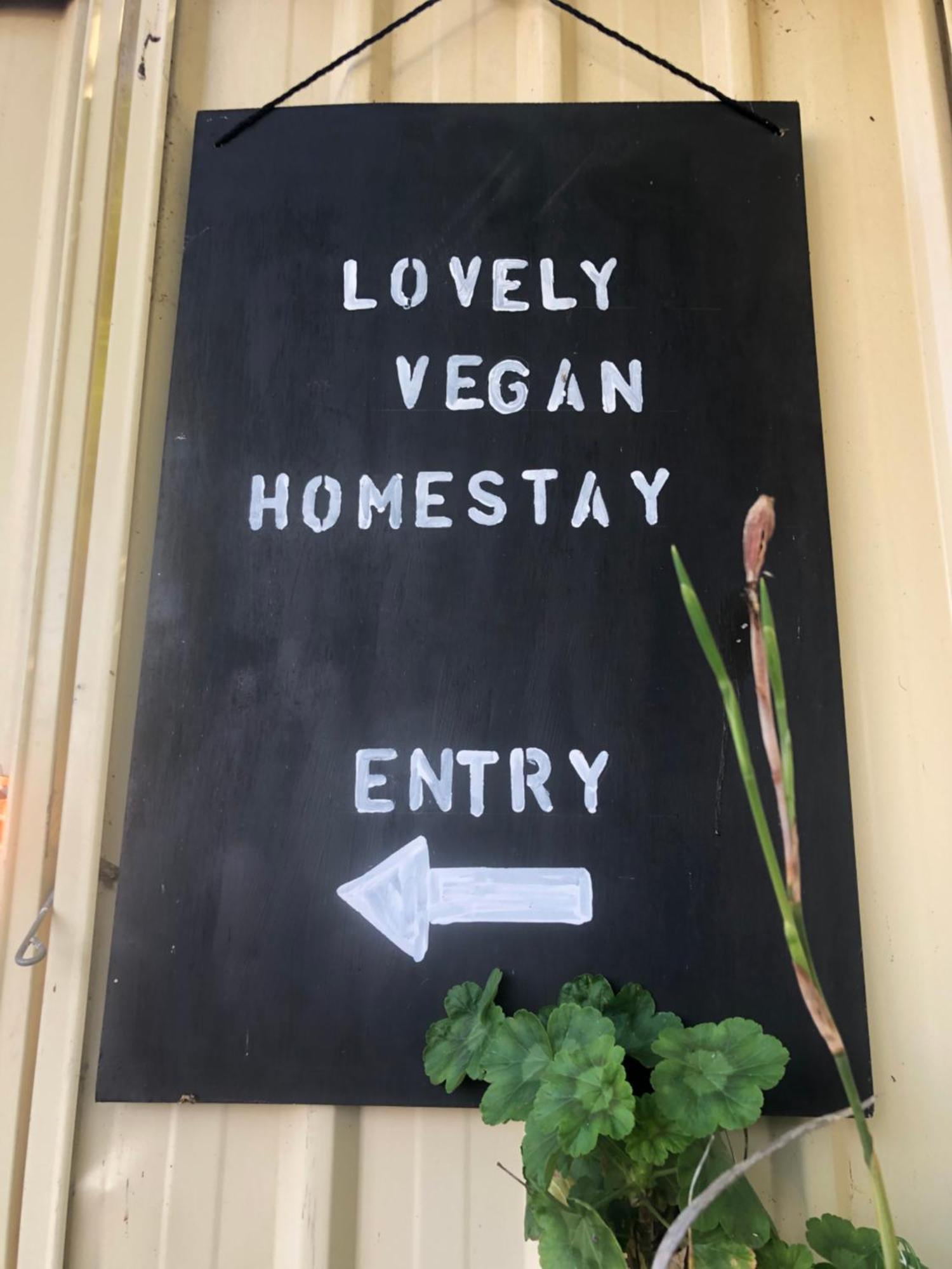 Lovely Budget Vegan Homestay Launceston Zewnętrze zdjęcie