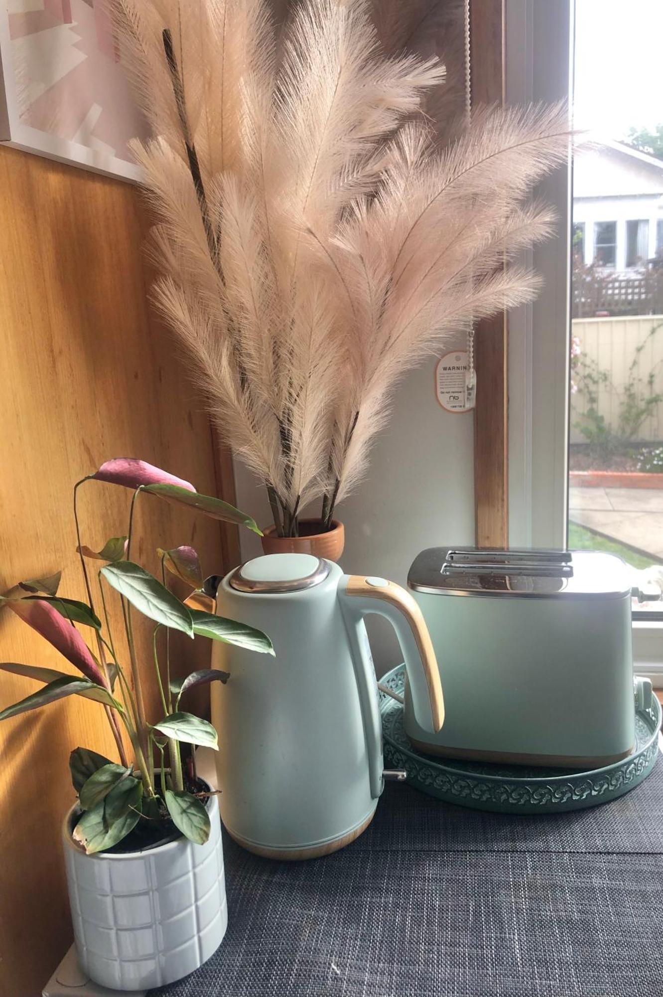 Lovely Budget Vegan Homestay Launceston Zewnętrze zdjęcie